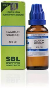 Caladium seguinum 200 uses in hindi