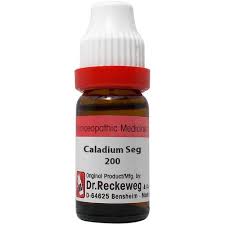 कैलेडियम के फायदे, प्रयोग विधि और सावधानियां, Caladium seguinum 200 uses in hindi